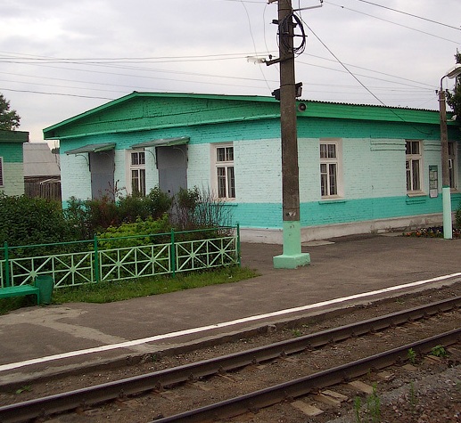 Постройки на станции "Ильинский погост"