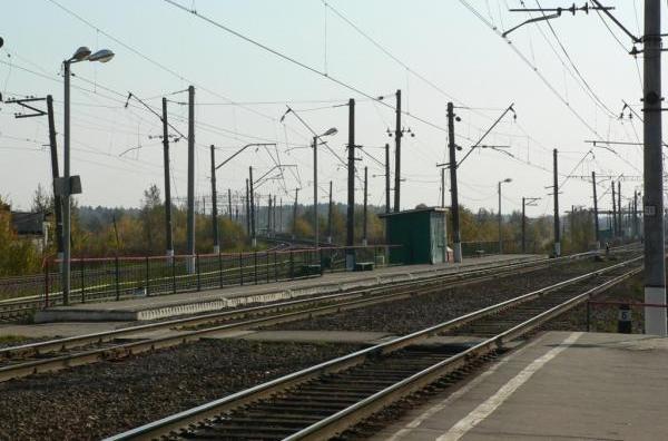 Платформы на станции "Посёлок Киевский"