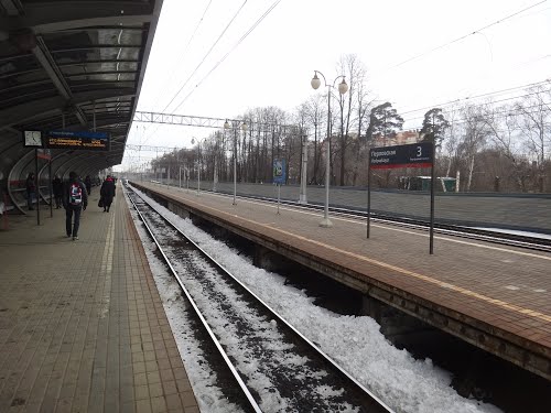 Платформа на станции "Перловская"