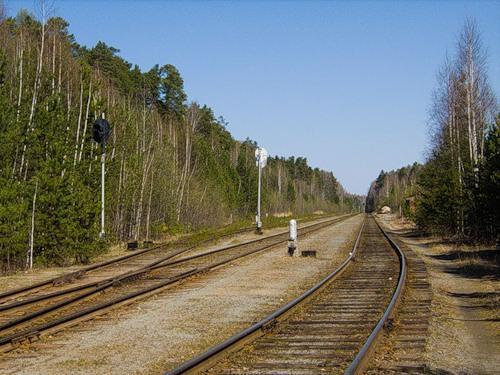 Линии железной дороги около платформы "Садовая"