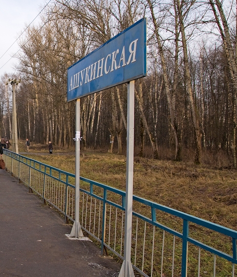 Табличка с названием станции Ашукинская