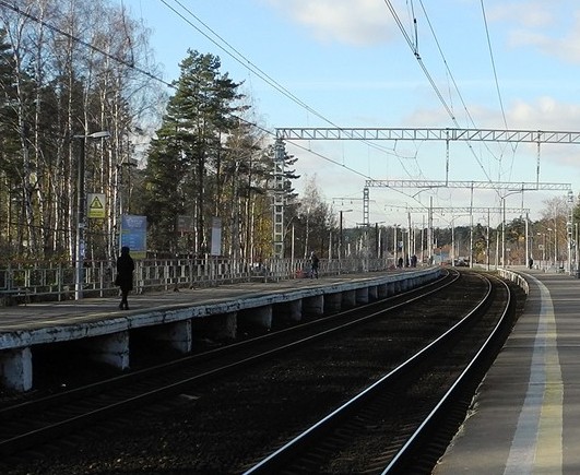 Линии железной дороги около платформ на станции "Купавна"