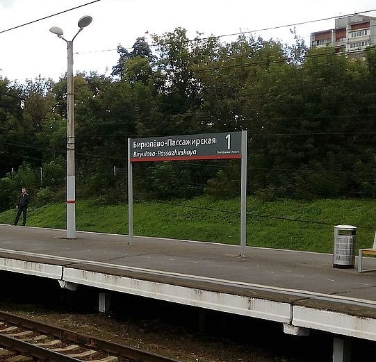 Табличка с названием станции "Бирюлёво-Пассажирская"