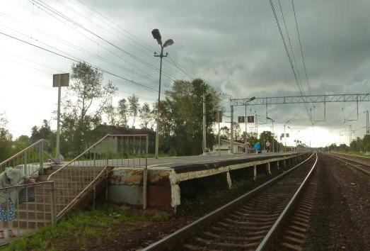 Линия железной дороги около станции "Катуар"