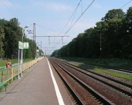 Линии железной дороги на станции "Вельяминово"