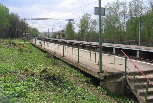 Платформа на станции "Битца"