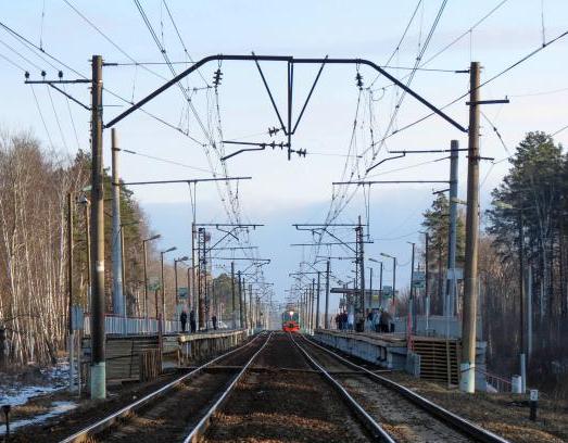 Железнодорожные пути возле станции "Загорново"