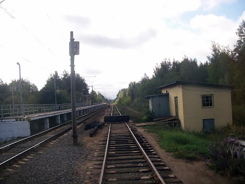 Линии железной дороги на станции "Ковригино"
