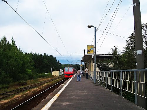 Платформа станции "Ковригино"