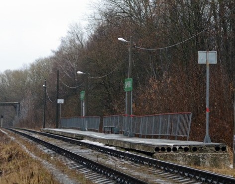 Линии железной дороги около платформы "Сычёво" 