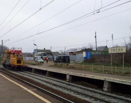 Платформы на станции "Тесна"