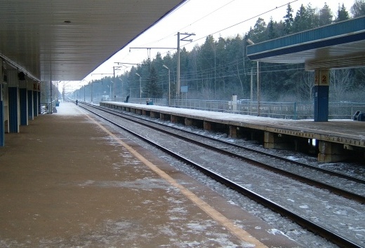 Навесы от дождя на станции "Циолковская"