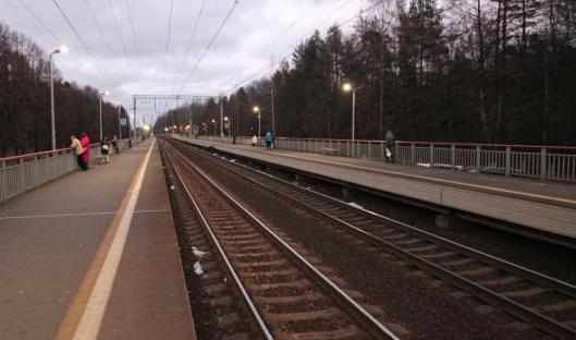 Линии железной дороги на станции "Зеленоградская" 