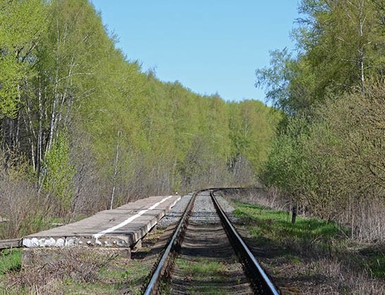 Линия железной дороги около платформы "Лысцовская"
