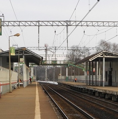Платформы на станции Баковка