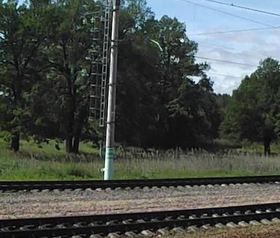Линии железной дороги и лесные массивы возле станции "Бородино"