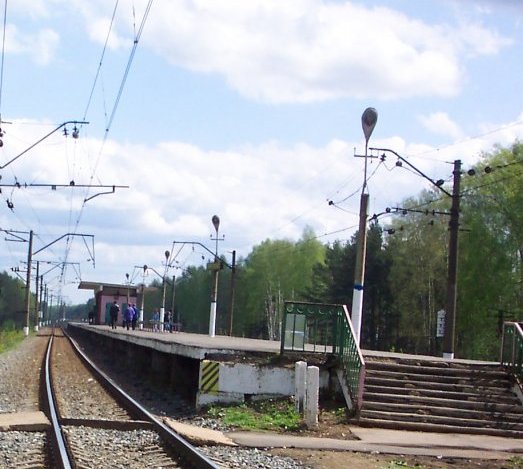 Железнодорожные пути возле платформы "Григорово"
