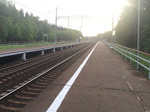 Пассажирские платформы на станции "Садовая"