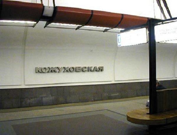 Новостройки возле метро Кожуховская