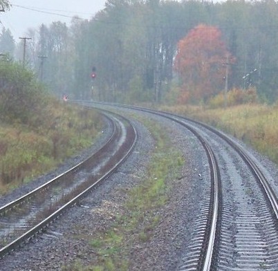 Станция "Муриково", вид на линии железной дороги в направлении посёлка Шаховская 